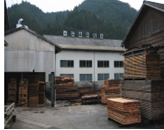 �����������������C���[�W