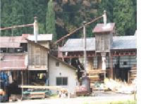 �����������������C���[�W